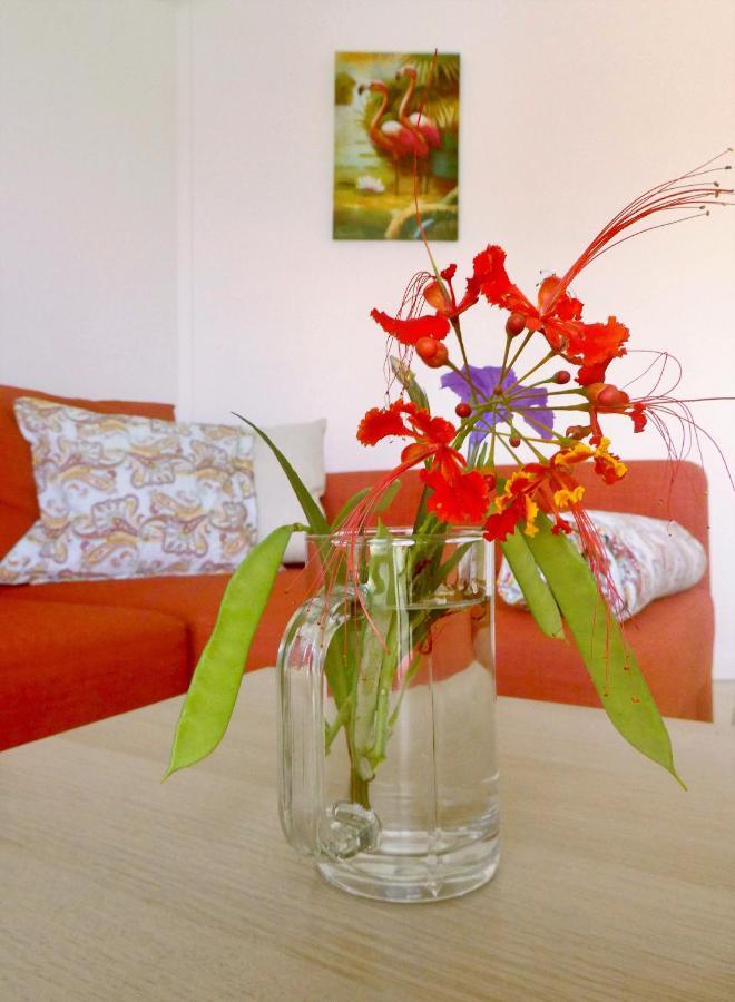 Apartment Greenflash Playa Dış mekan fotoğraf